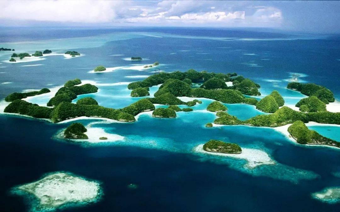 逃离水虎鱼湖