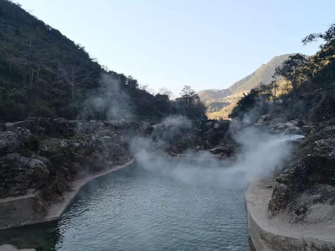 逃离蓝色之林